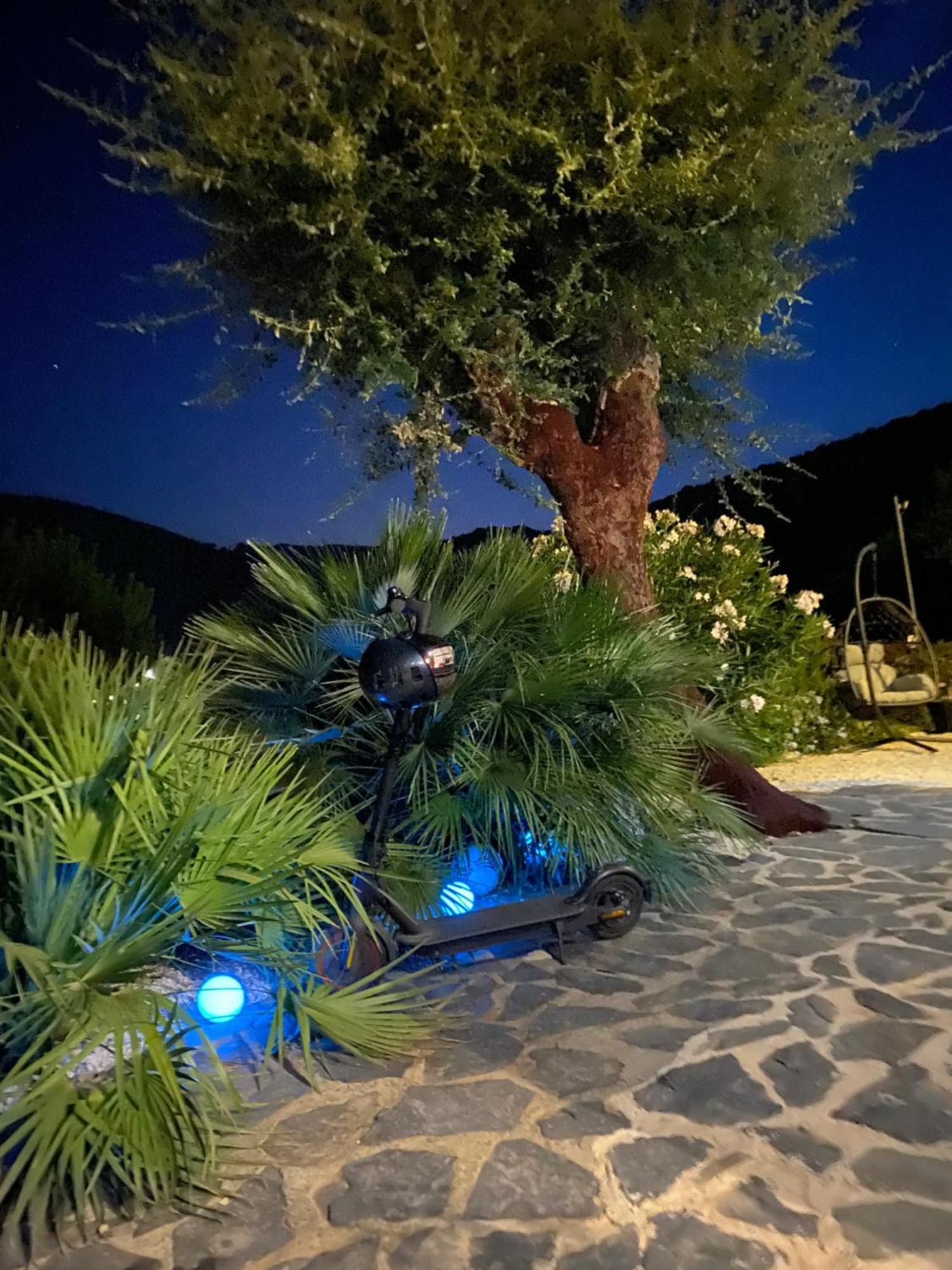 Belle Chambre Privee Avec Le Jardin Privatif Et Le Jacuzzi كافالير سور مير المظهر الخارجي الصورة